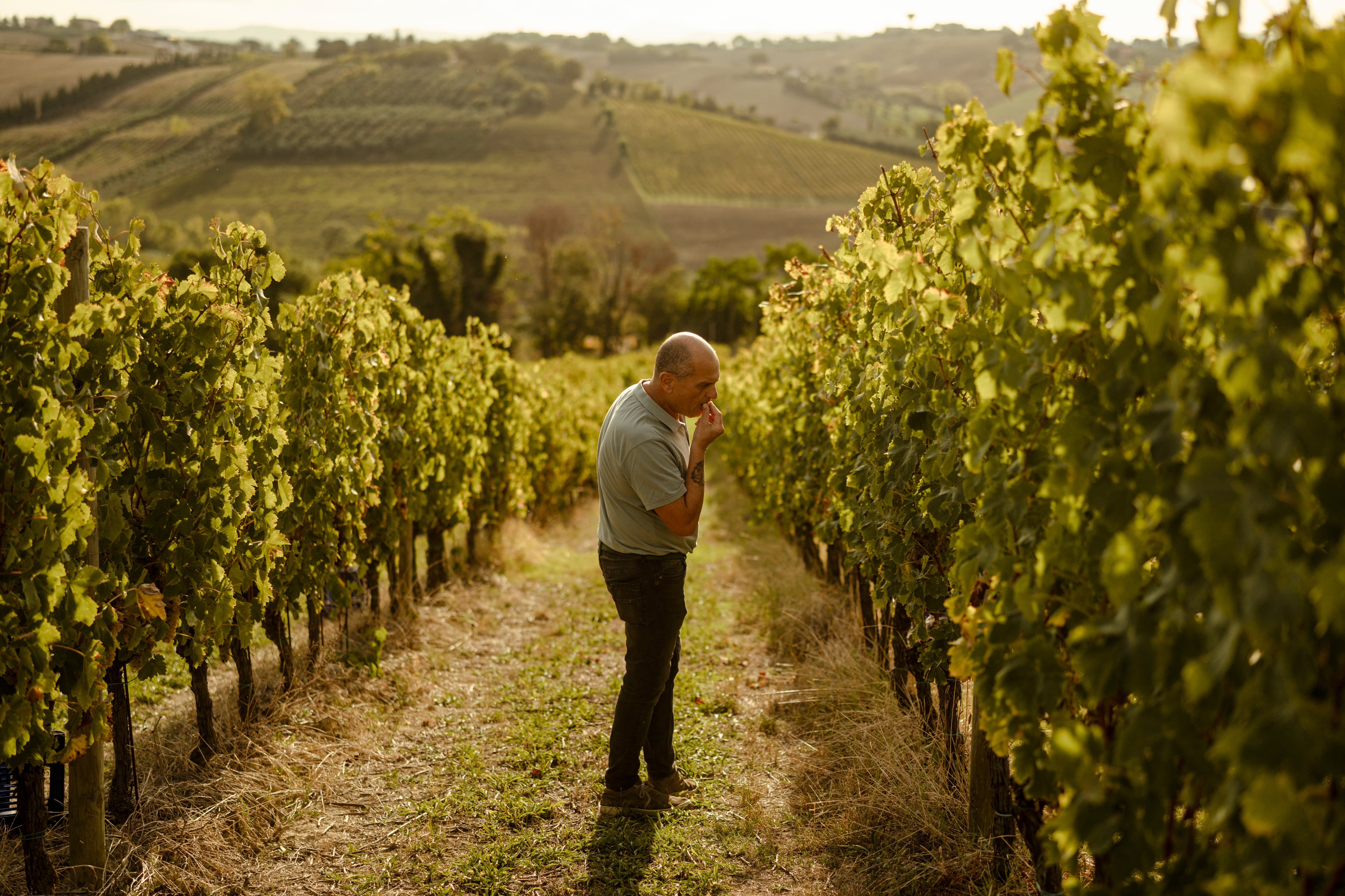 slideshow background