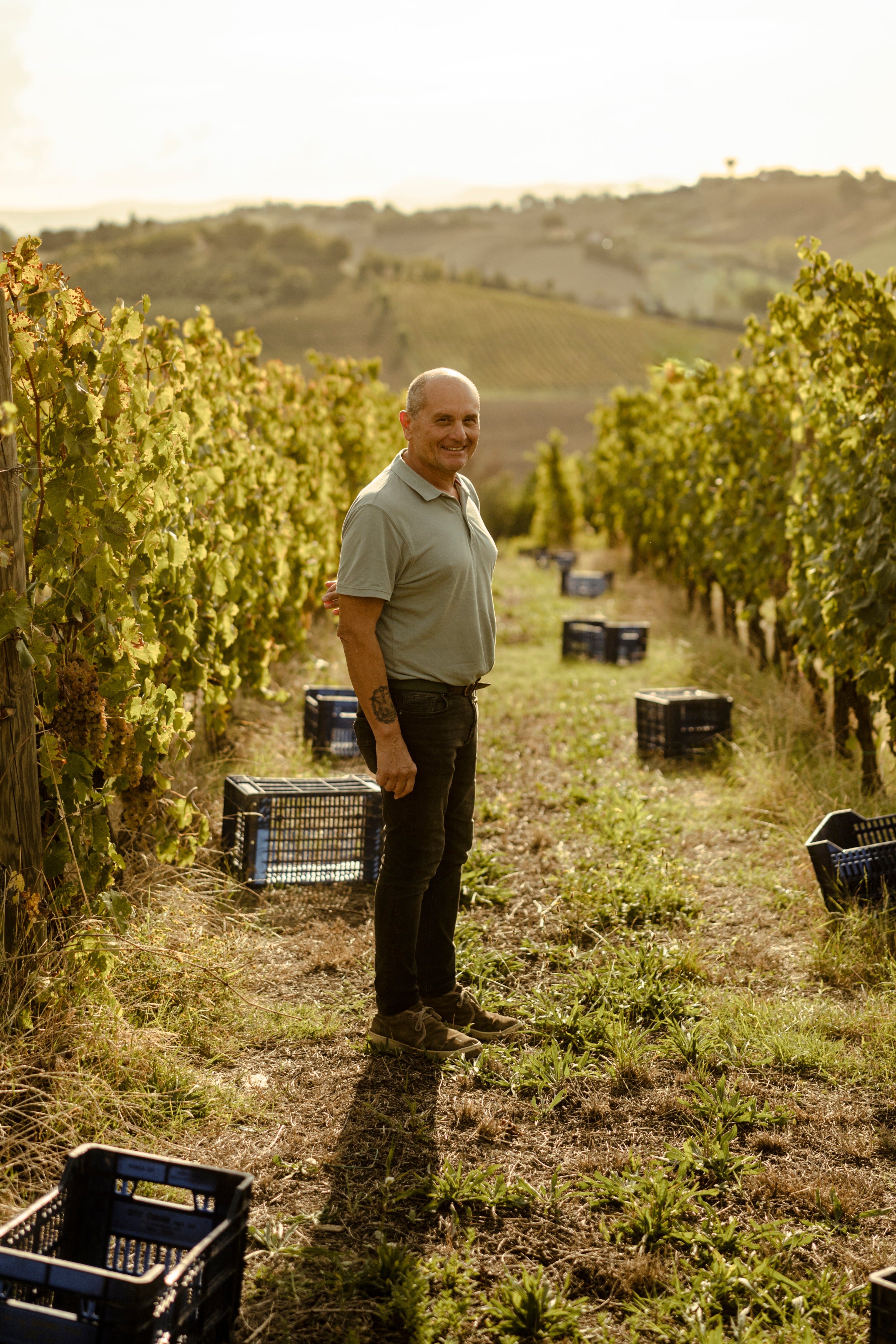 slideshow mobile background image