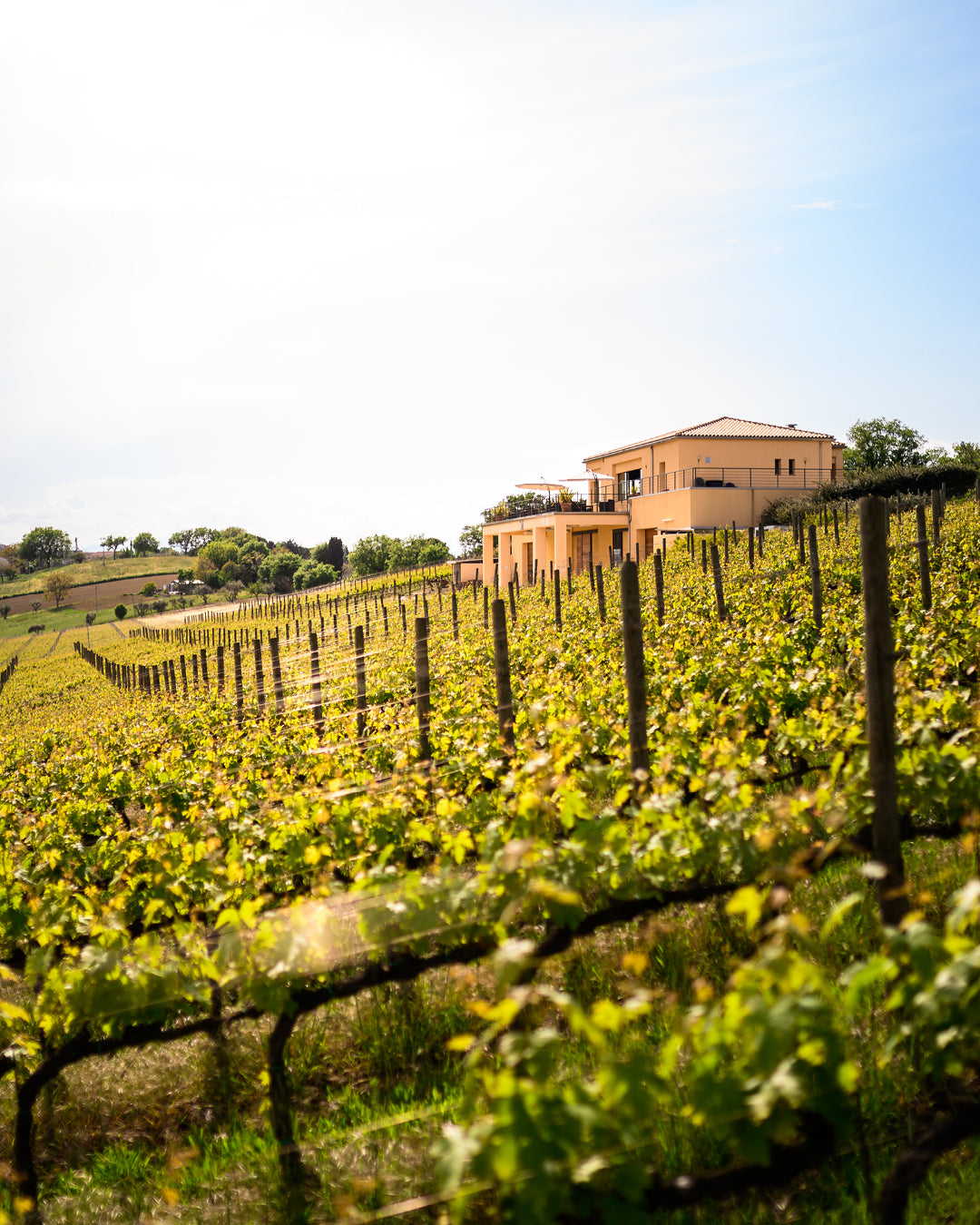 slideshow mobile background image