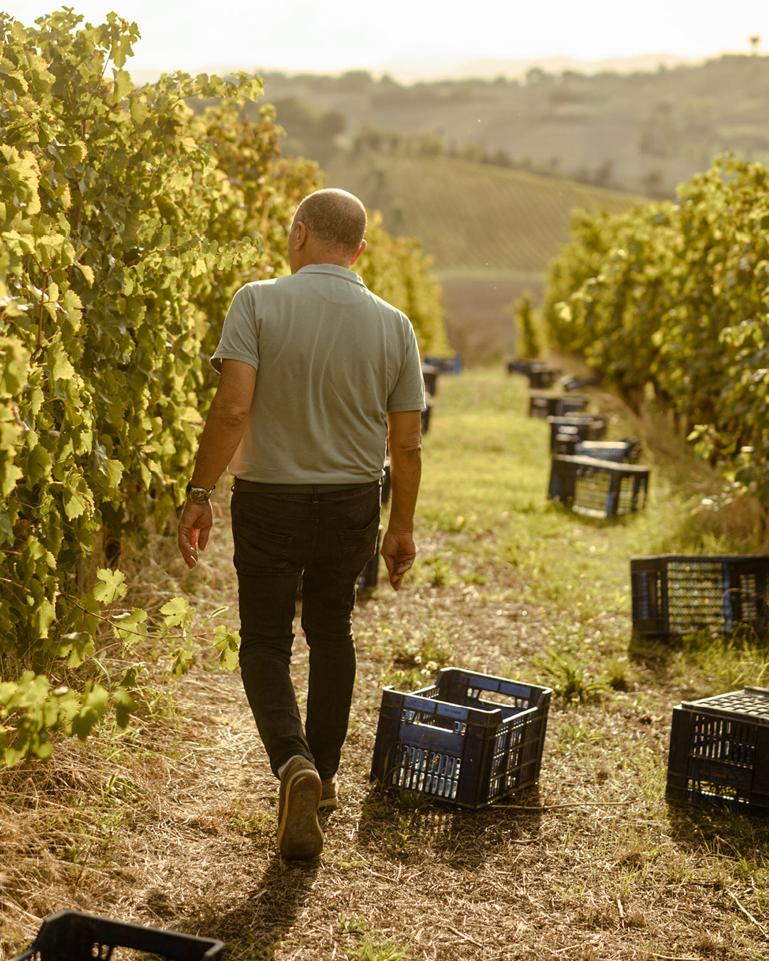 slideshow mobile background image